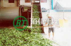 HG銀杏葉烘干機